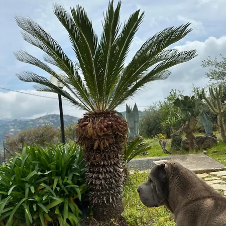 Guest house Casa Degli Ulivi Taggia