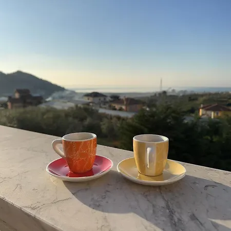 Casa Degli Ulivi Guest house Taggia